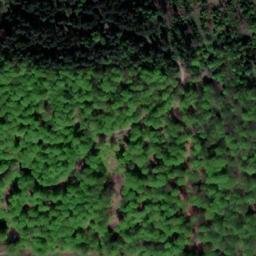 Satellite imagery of Hammberg, DE