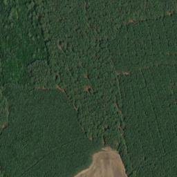 Satellite imagery of Grüner Berg, DE