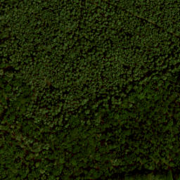 Satellite imagery of IJkbasis Loenermark, NL