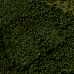 Satellite imagery of IJkbasis Loenermark, NL