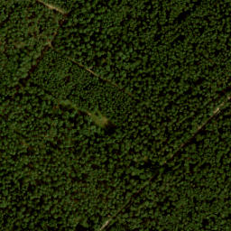 Satellite imagery of survey_point, NL