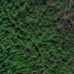 Satellite imagery of Rottberg, DE