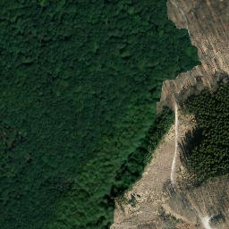 Satellite imagery of Turmberg, DE