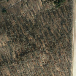 Satellite imagery of Feldberg, DE