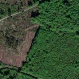 Satellite imagery of Rottberg, DE