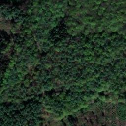 Satellite imagery of Welfenhöhe, DE