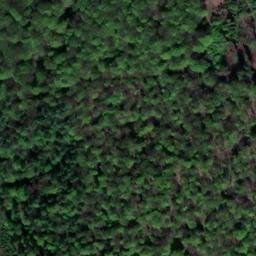 Satellite imagery of Welfenhöhe, DE