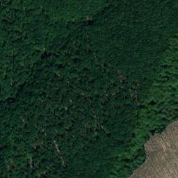 Satellite imagery of Turmberg, DE