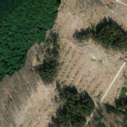 Satellite imagery of Turmberg, DE