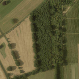 Satellite imagery of Kasteel Rhijnauwen, NL