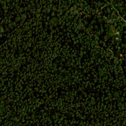 Satellite imagery of boundary_stone, NL