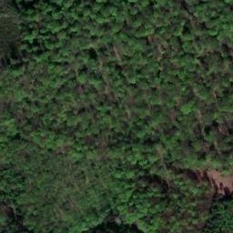 Satellite imagery of Welfenhöhe, DE