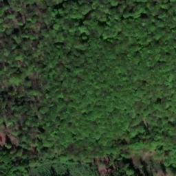 Satellite imagery of Welfenhöhe, DE