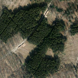 Satellite imagery of Feldberg, DE