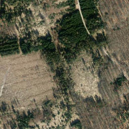 Satellite imagery of Feldberg, DE