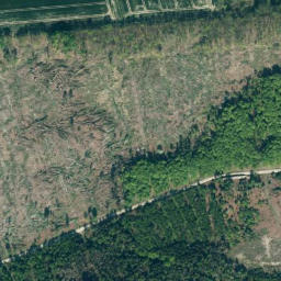 Satellite imagery of Lüningsberg, DE