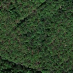 Satellite imagery of Welfenhöhe, DE