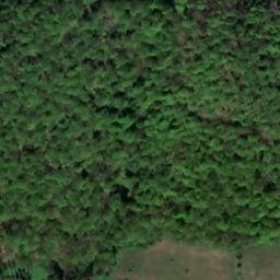 Satellite imagery of Welfenhöhe, DE