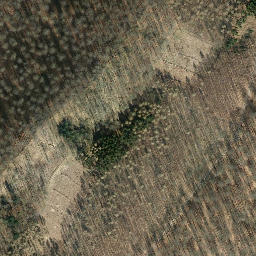 Satellite imagery of Buchberg, DE