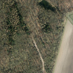 Satellite imagery of Wohldenberg, DE