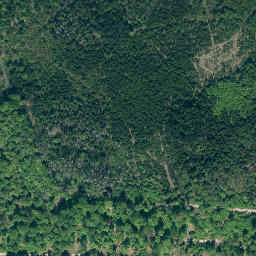 Satellite imagery of Lüningsberg, DE