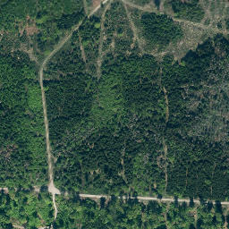 Satellite imagery of Lüningsberg, DE