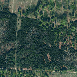 Satellite imagery of Lüningsberg, DE