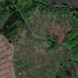 Satellite imagery of Fernmeldeturm Sibbesse, DE
