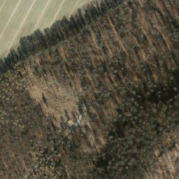 Satellite imagery of Buchberg, DE