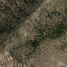 Satellite imagery of Buchberg, DE
