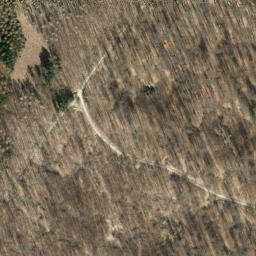 Satellite imagery of Buchberg, DE