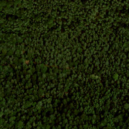 Satellite imagery of boundary_stone, NL