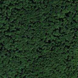 Satellite imagery of Lattberg, DE