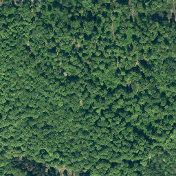 Satellite imagery of Lüningsberg, DE