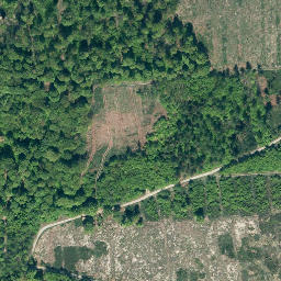 Satellite imagery of Lüningsberg, DE