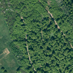 Satellite imagery of Poppenstein, DE
