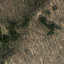 Satellite imagery of Buchberg, DE