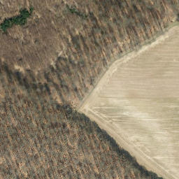 Satellite imagery of Buchberg, DE
