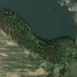 Satelita
