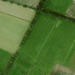 Satellite imagery of O I, NL