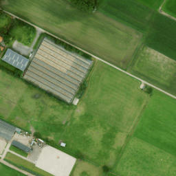 Satellite imagery of O I, NL