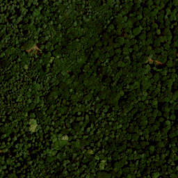Satellite imagery of boundary_stone, NL