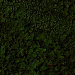 Satellite imagery of boundary_stone, NL