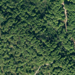 Satellite imagery of Thüster Berg, DE
