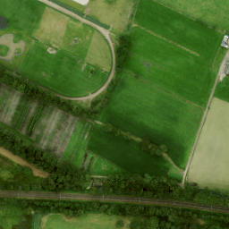 Satellite imagery of O I, NL