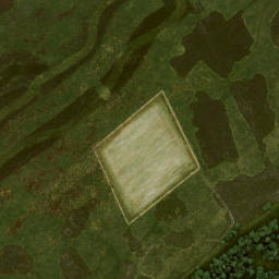 Satellite imagery of Braspol, NL