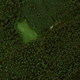 Satellite imagery of Braspol, NL