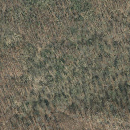 Satellite imagery of Nußberg, DE