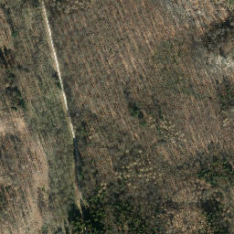 Satellite imagery of Meineberg, DE