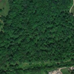 Satellite imagery of Weston Park, GB